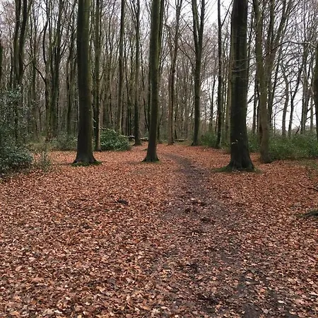 Ferienhaus Romantisch Vakwerkhuis In Epen